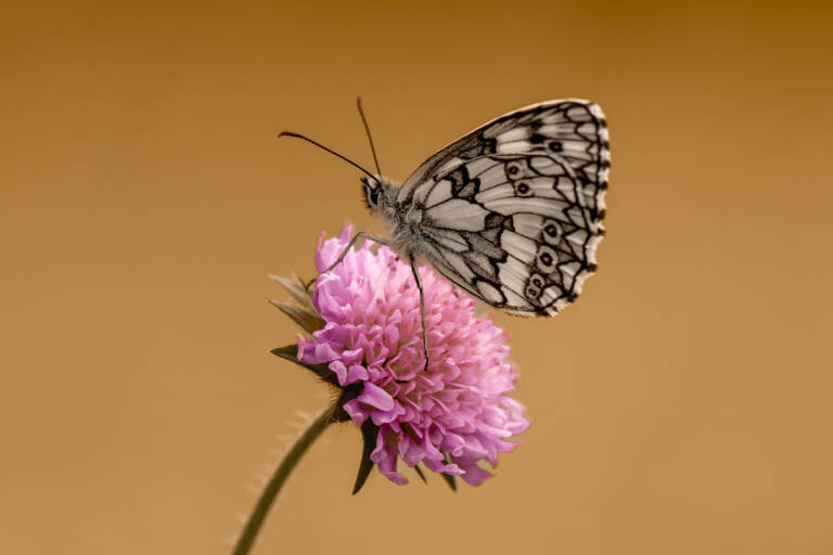 Foto 28.06.24, 12 48 36